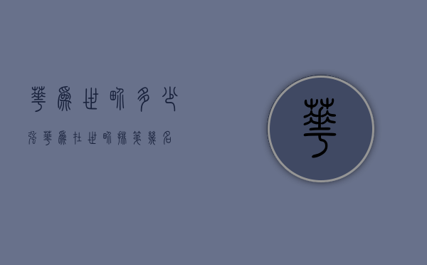 华为世界多少强（华为在世界排第几名）