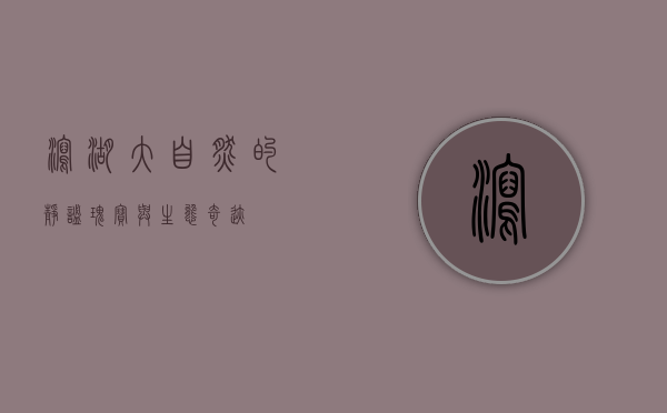泻湖，大自然的静谧瑰宝与生态奇迹