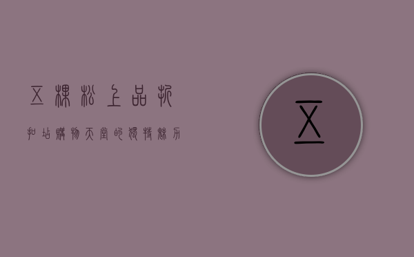 五棵松上品折扣店，购物天堂的独特魅力与消费新体验