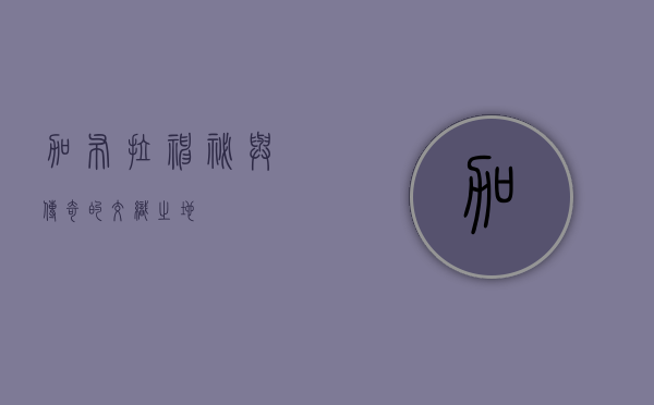 加布拉，神秘与传奇的交织之地