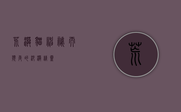 荒漠猫，神秘而濒危的沙漠精灵