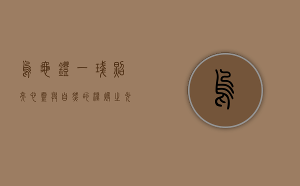 乌龟灯，一盏照亮心灵与自然的温暖之光