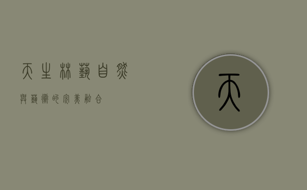 天生林艺，自然与艺术的完美融合