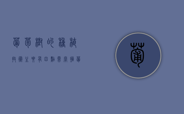葡萄树的种植技术，主要有四点需掌握（葡萄树怎么种植方法）