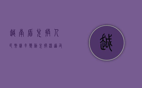 越南盾兑换人民币，汇率变动、兑换渠道及实用指南