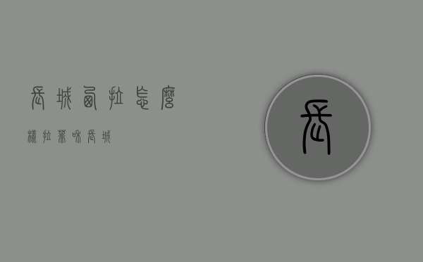 长城西拉怎么样（拉菲和长城）