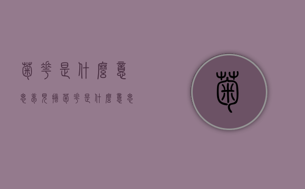 菊花是什么意思（梦见摘菊花是什么意思）