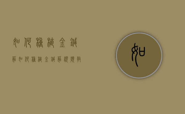 如何种植金针菇（如何种植金针菇视频教程）