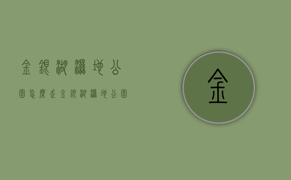 金银湖湿地公园怎么走（金银湖湿地公园沙滩在哪里）