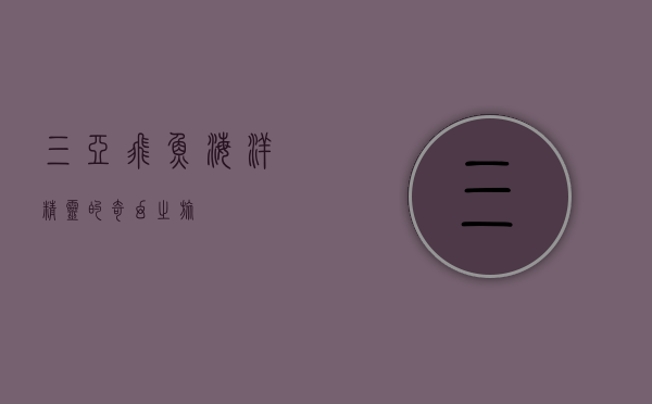三亚飞鱼，海洋精灵的奇幻之旅