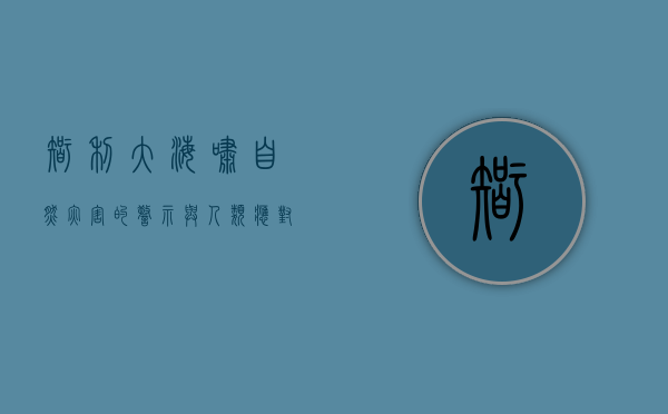 智利大海啸，自然灾害的警示与人类应对的智慧