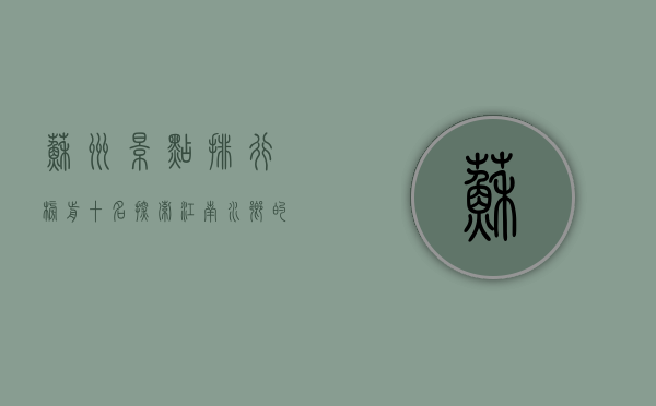 苏州景点排行榜前十名，探索江南水乡的绝美风光