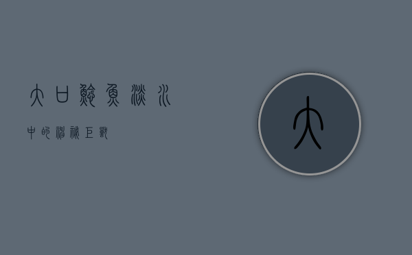 大口鲶鱼，淡水中的神秘巨兽