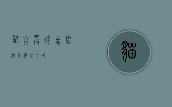 猫赤霞珠怎么样（黑猫赤霞珠）