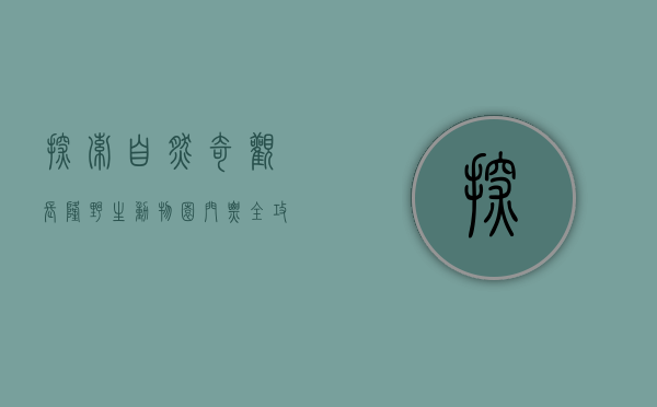 探索自然奇观，长隆野生动物园门票全攻略