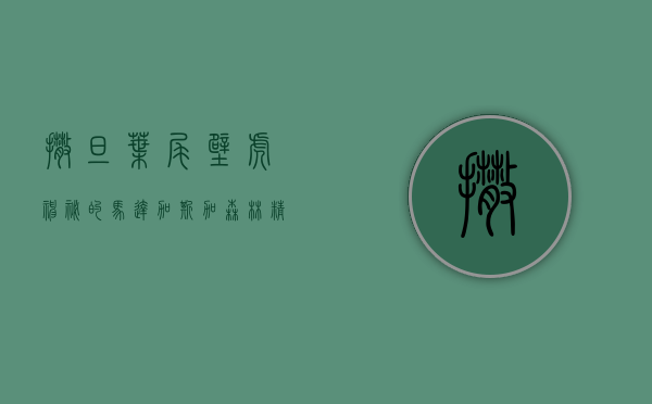 撒旦叶尾壁虎，神秘的马达加斯加森林精灵