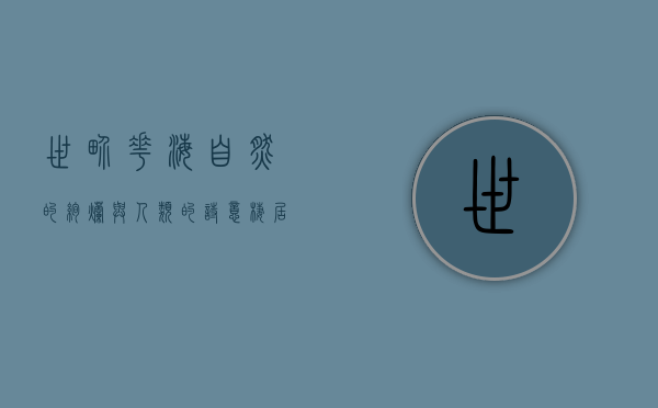 世界花海，自然的绚烂与人类的诗意栖居