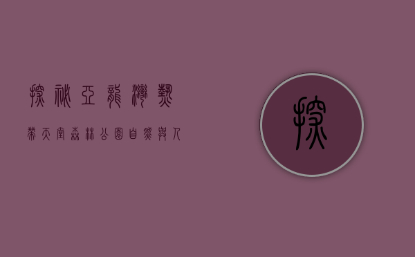 探秘亚龙湾热带天堂森林公园，自然与人文的完美融合