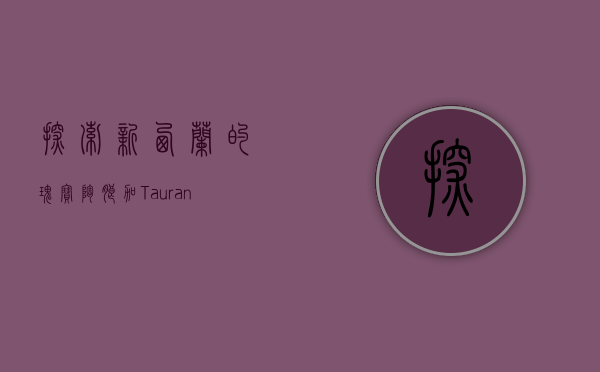 探索新西兰的瑰宝—陶朗加（Tauranga）的魅力与多元文化