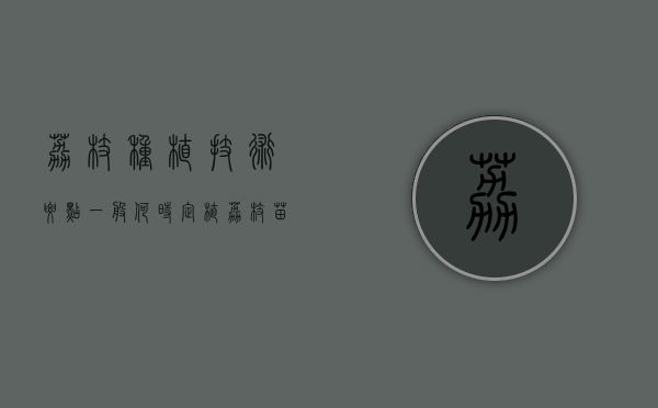 荔枝种植技术要点，一般何时定植（荔枝苗什么季节种植最好活）