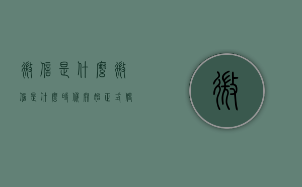 微信是什么（微信是什么时候开始正式使用的）