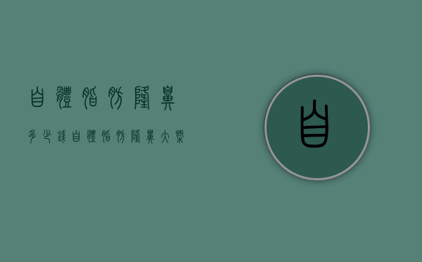 自体脂肪隆鼻多少钱（自体脂肪隆鼻大概多少钱）