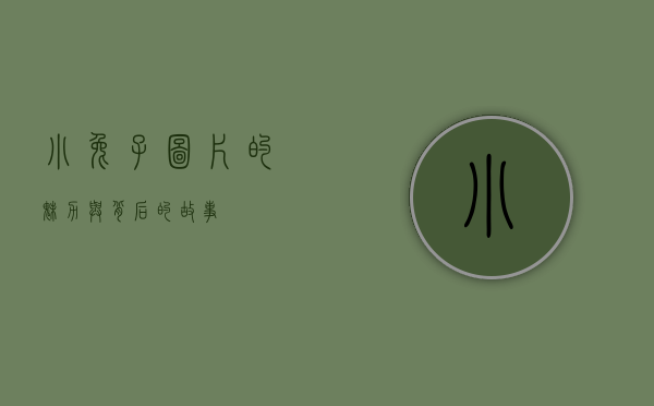 小兔子图片的魅力与背后的故事