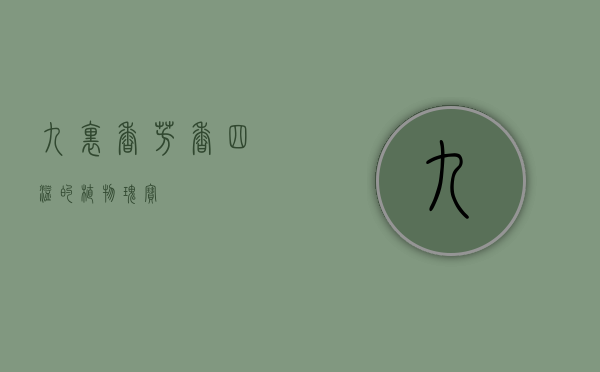九里香，芳香四溢的植物瑰宝