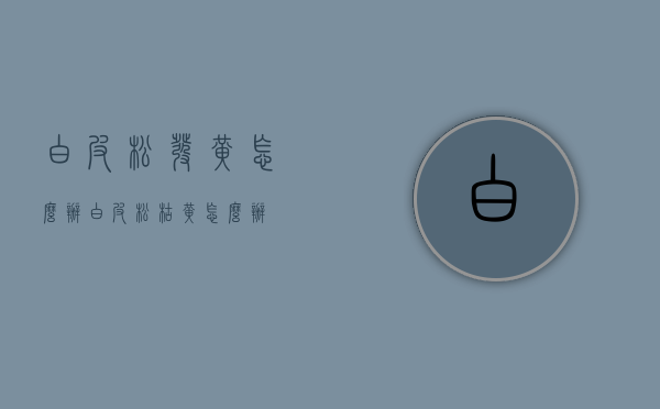白皮松发黄怎么办（白皮松枯黄怎么办）