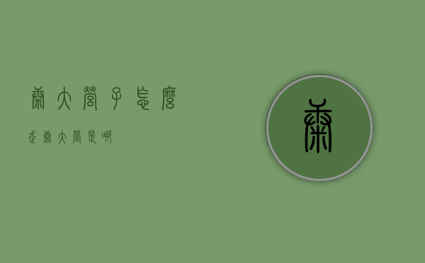 康大营子怎么走（康大营是哪）
