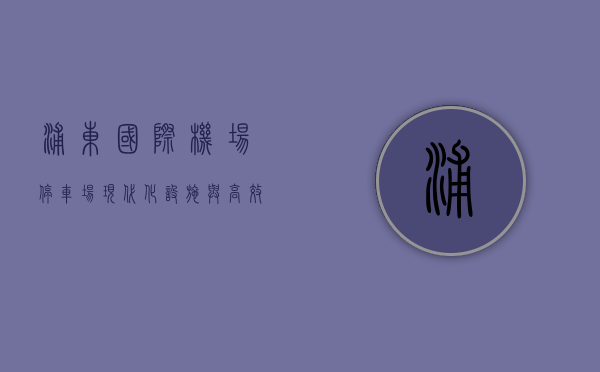 浦东国际机场停车场，现代化设施与高效管理的典范