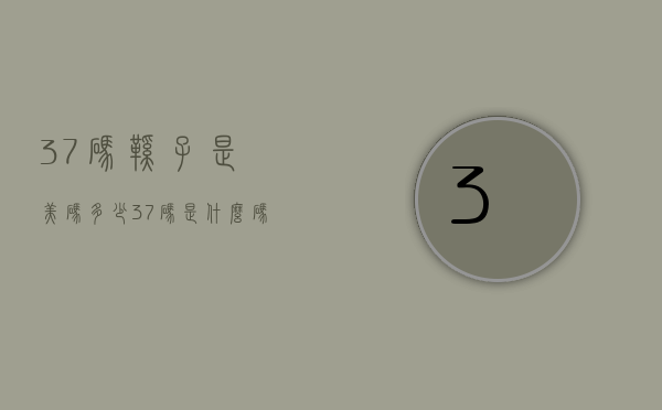37码鞋子是美码多少（37码是什么码）