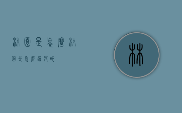 林园是怎么（林园是怎么选股的）