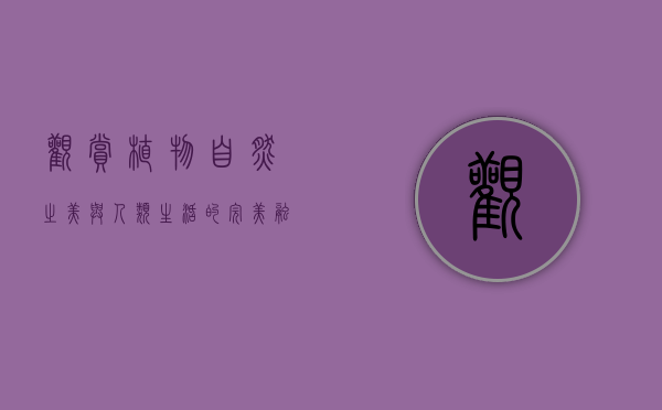 观赏植物，自然之美与人类生活的完美融合