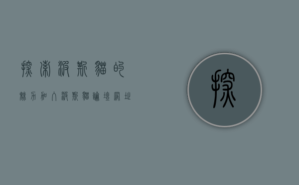 探索波斯猫的魅力，加入波斯猫论坛网址，与全球猫友交流