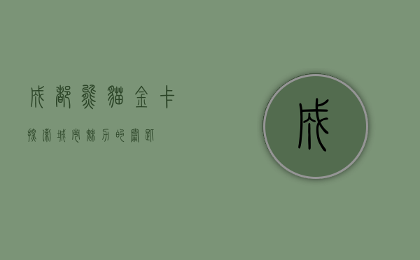 成都熊猫金卡，探索城市魅力的钥匙