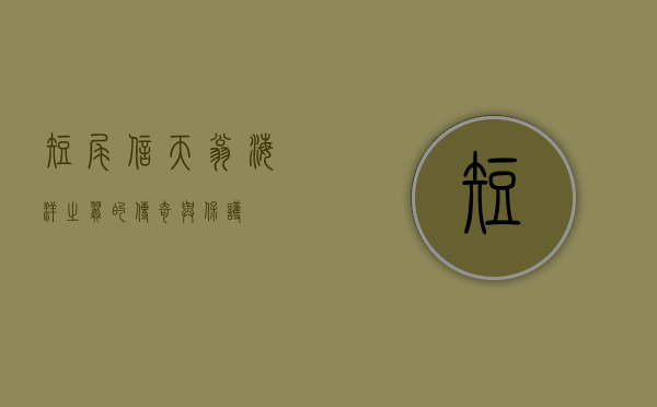 短尾信天翁，海洋之翼的传奇与保护