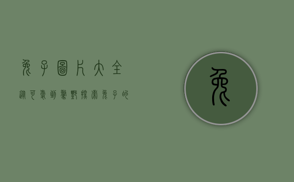 兔子图片大全，从可爱到惊艳，探索兔子的多样魅力