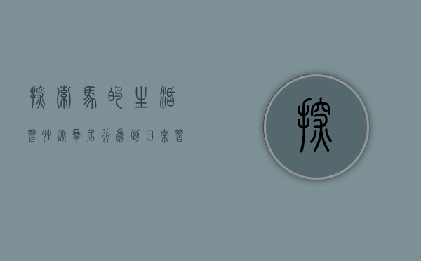 探索马的生活习性，从群居行为到日常习惯