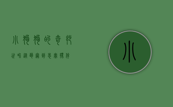 小狗狗的奇妙世界，从萌宠到忠实伙伴