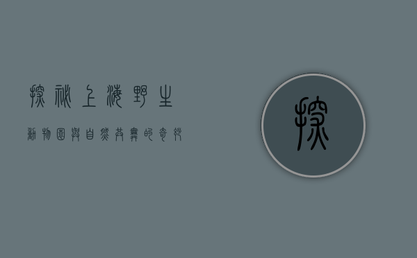 探秘上海野生动物园，与自然共舞的奇妙之旅