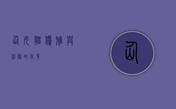 仙女猫，优雅与神秘的化身