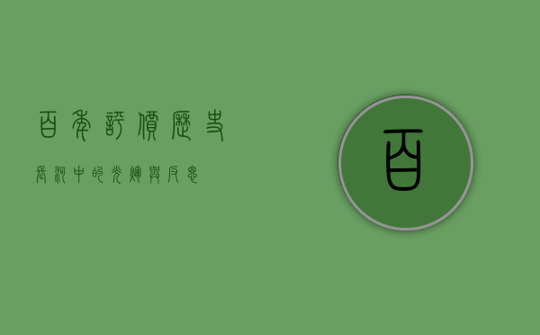 百年评价，历史长河中的光辉与反思