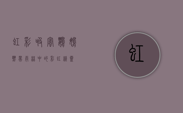 虹彩吸蜜鹦鹉，热带雨林中的彩虹精灵