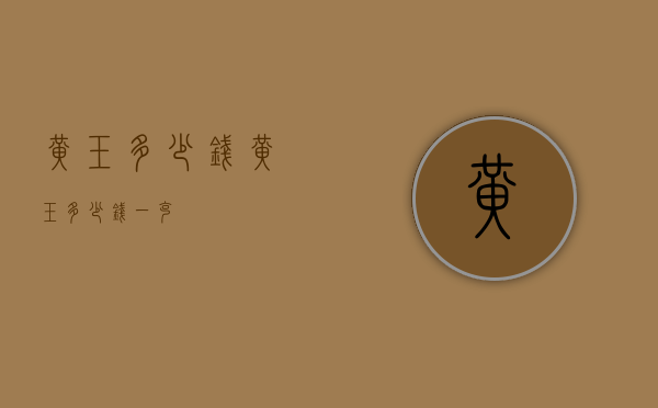黄玉多少钱（黄玉多少钱一克）