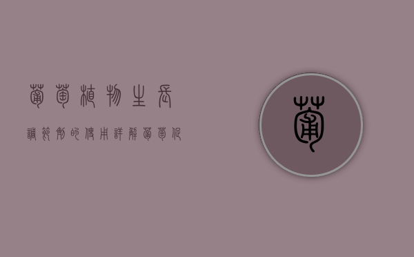 葡萄植物生长调节剂的使用详解（葡萄促花调节剂浓度）