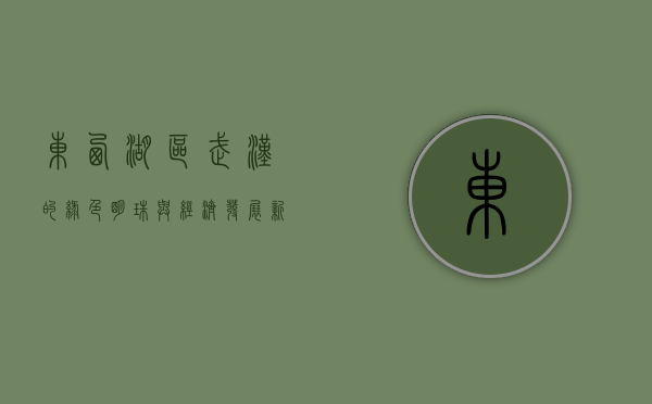 东西湖区，武汉的绿色明珠与经济发展新引擎