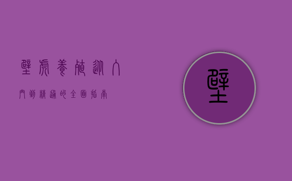 壁虎养殖,从入门到精通的全面指南 壁虎养殖,从入门到精通的全面指南