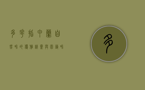 多花指甲兰，自然界的优雅精灵与园艺界的瑰宝