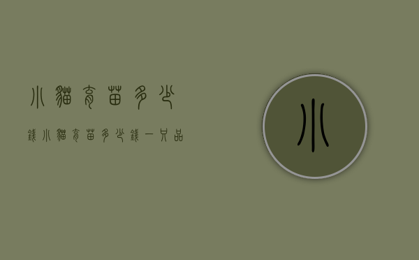 小猫育苗多少钱（小猫育苗多少钱一只,品质之选!）